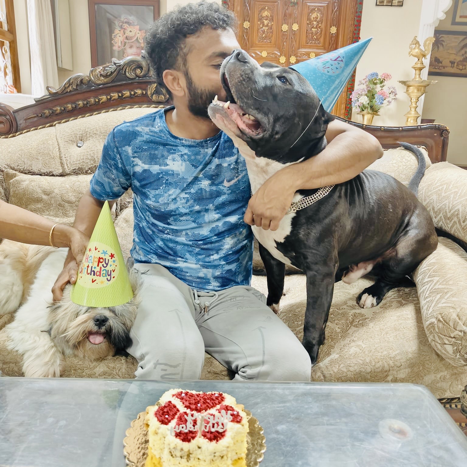 Pawlicious bake