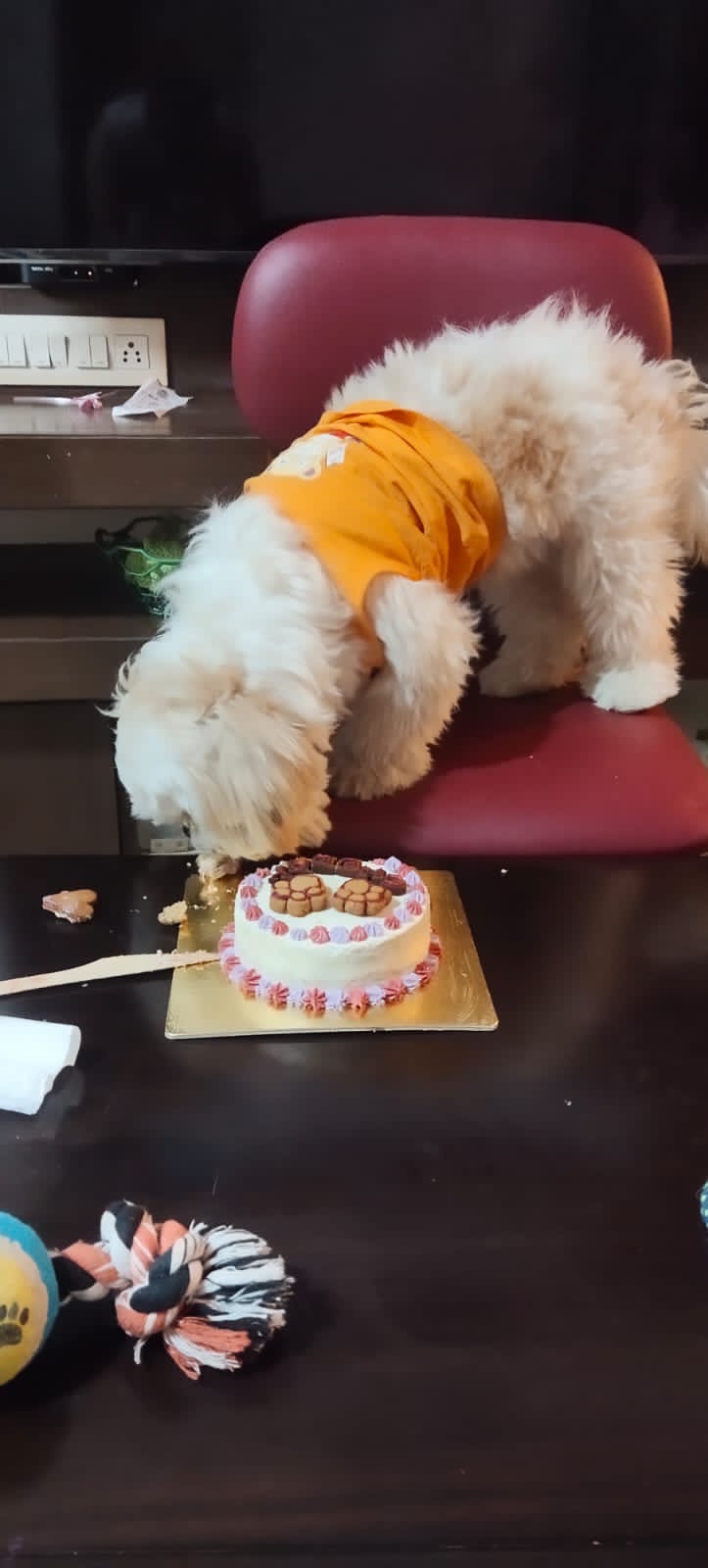 Pawlicious bake