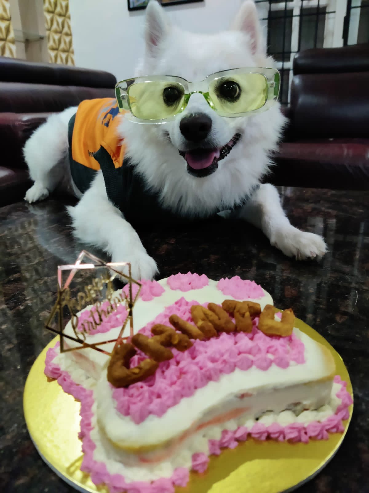 Pawlicious bake