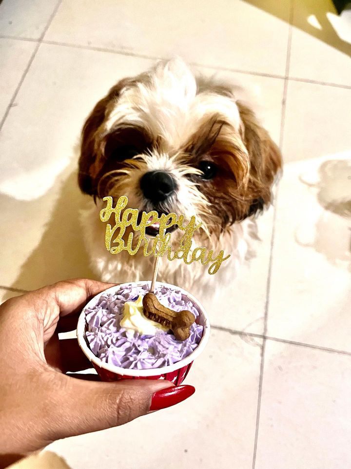 Pawlicious bake