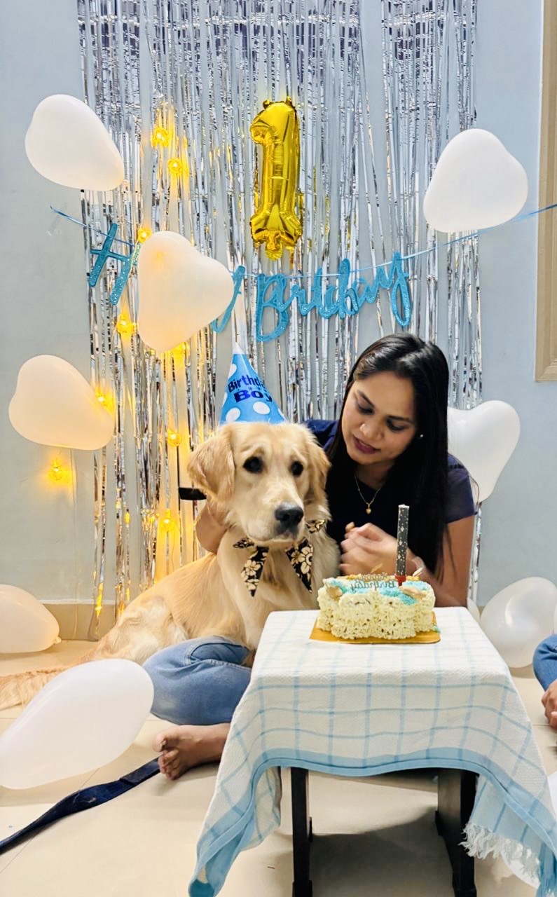 Pawlicious bake