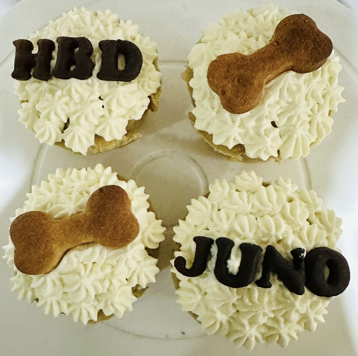 Pup cakes