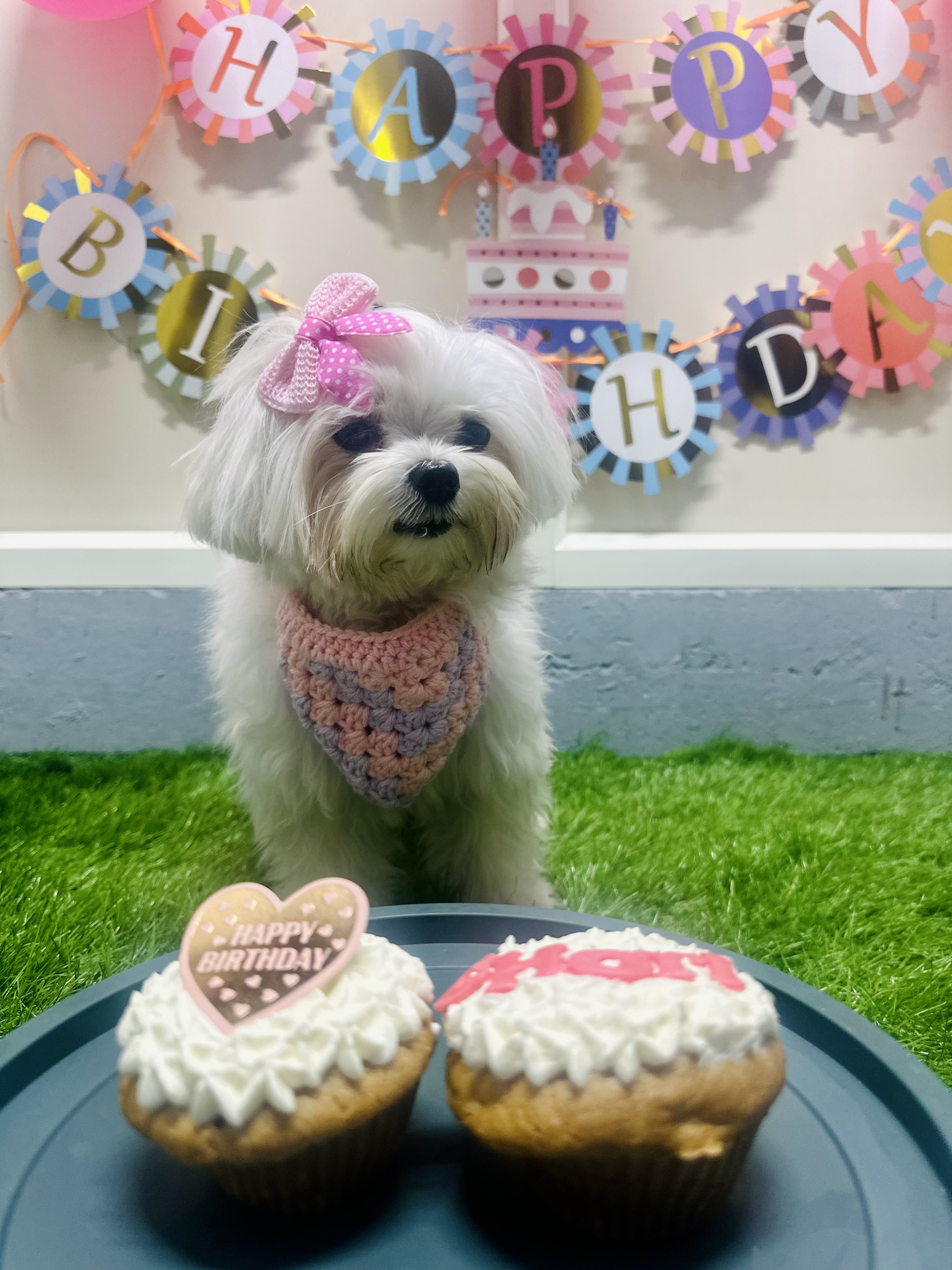 Pawlicious bake