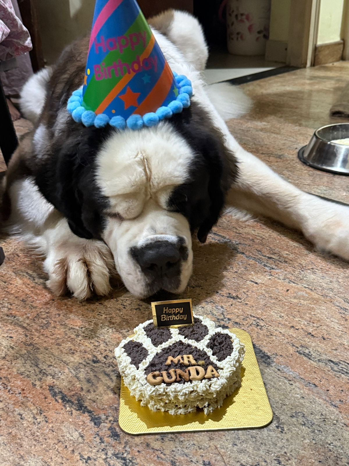 Pawlicious bake