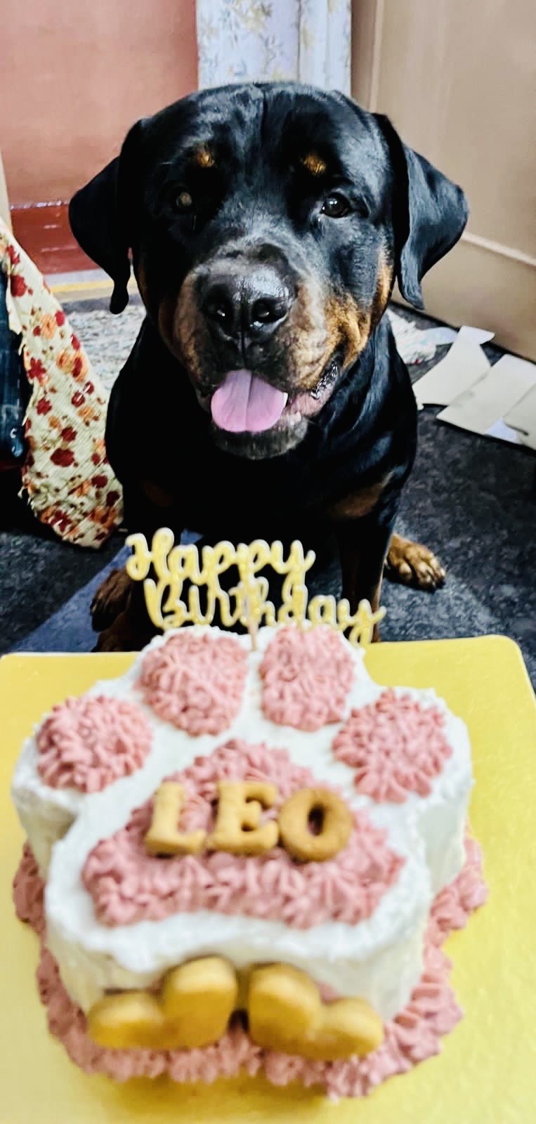 Pawlicious bake